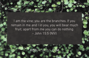 I am the vine