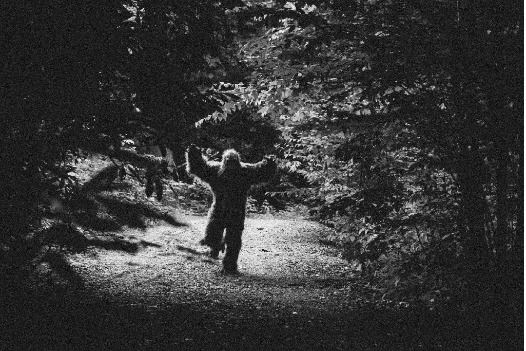 6 lessons I learned from #BigFoot