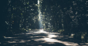 Mom, the ‘One’Hope, and the Presence